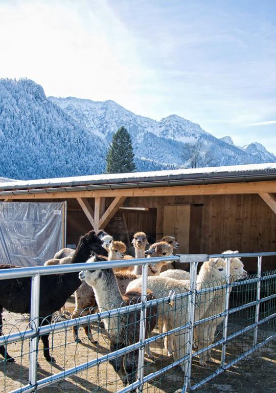 Pension Restner Inzell Exterior foto